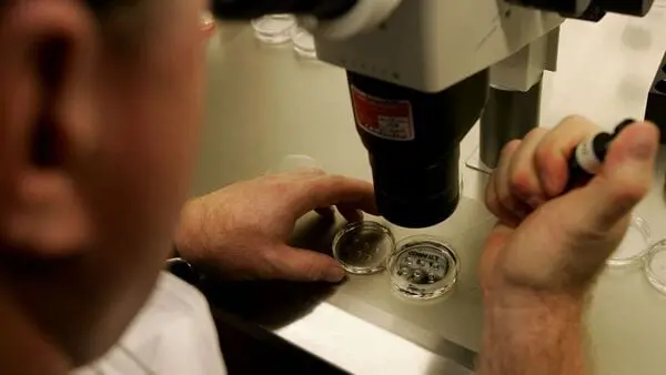 India bars routine stem cell therapy for limb ischemia, chronic wounds