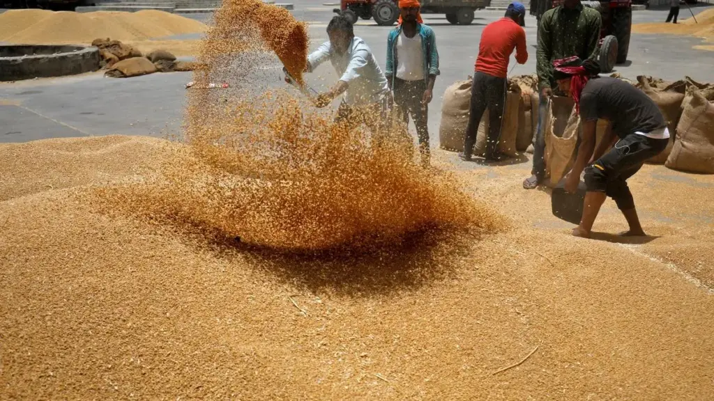 Wheat body asks FSSAI for crop-specific testing guidelines