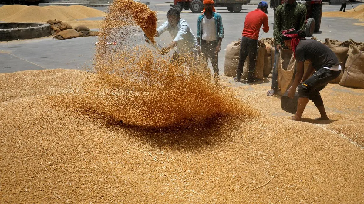 Wheat body asks FSSAI for crop-specific testing guidelines