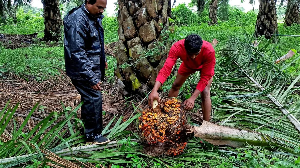 Telangana seeks Rs 25,000 per tonne assured price for oil palm