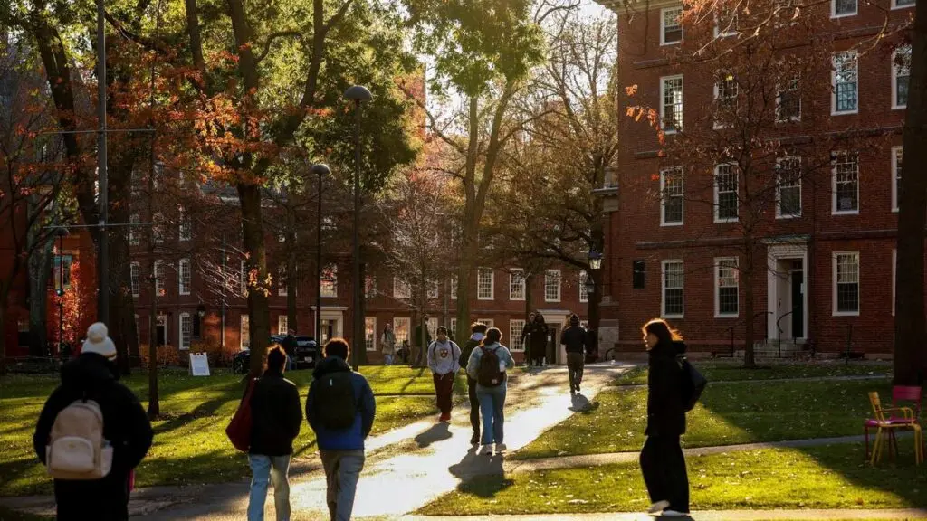 Indian student applications to US fall 15% amid visa squeeze