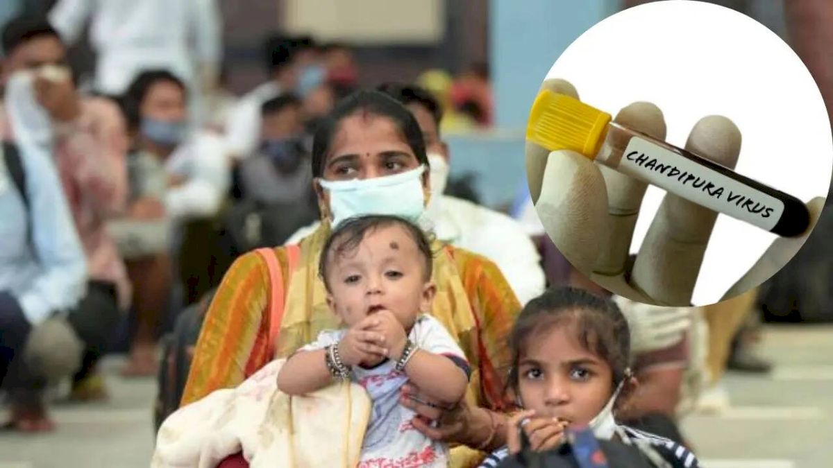Chandipura Virus Kills 22 Children in Gujarat This Monsoon