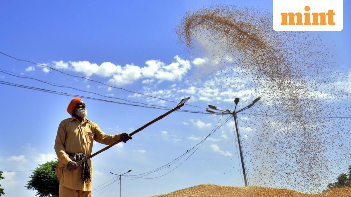 Kharif sowing remains 2.9% below last year despite monsoon revival