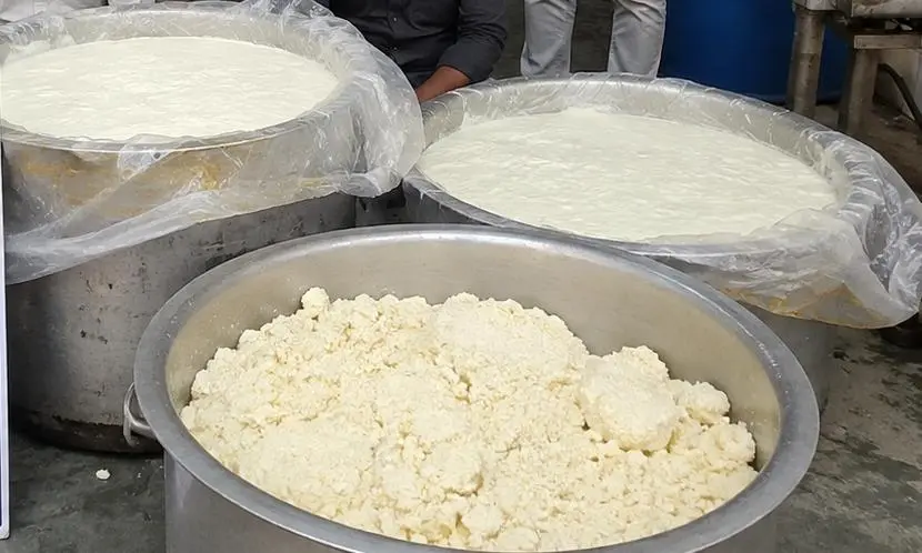 Police seize 1,000 kg curd in raid on unauthorised unit