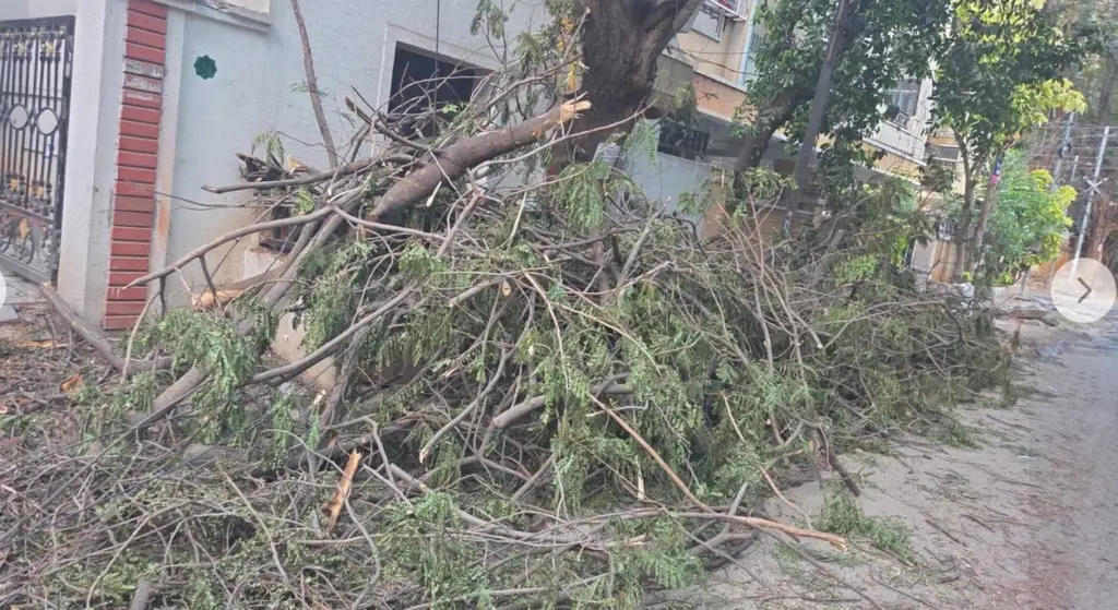 Tree-trimming debris left uncleared angers Hyderabad residents