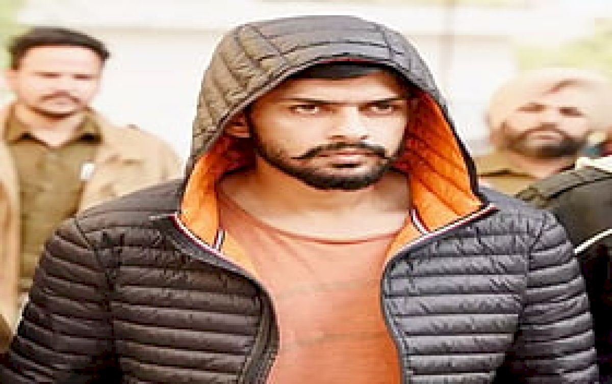 Report says Bishnoi gang exploited Canadian student visa system
