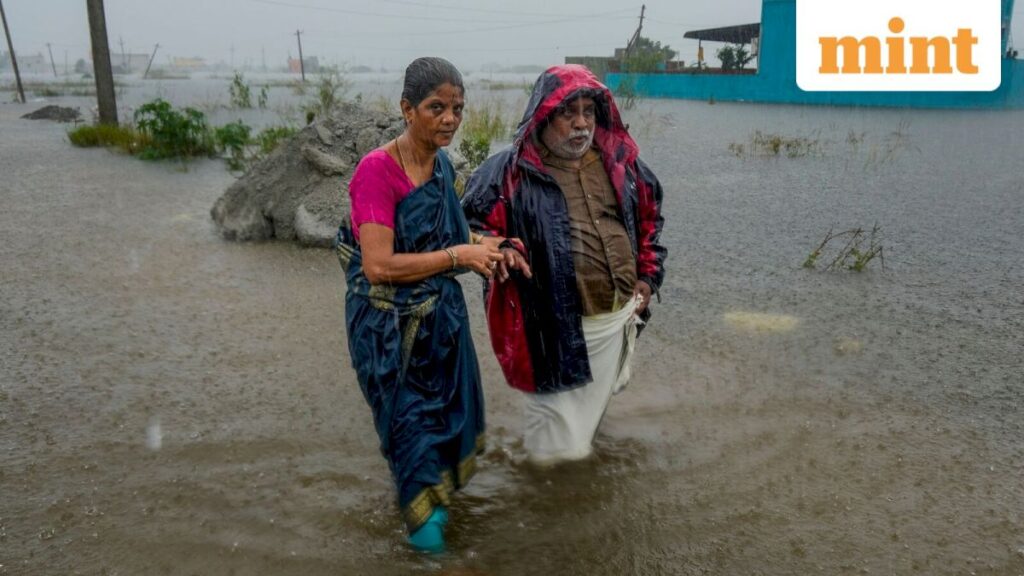 Centre steps up leptospirosis surveillance ahead of monsoon