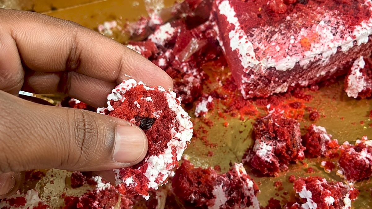 Ghaziabad family ill after cake with mould and insects at Uttarakhand resort