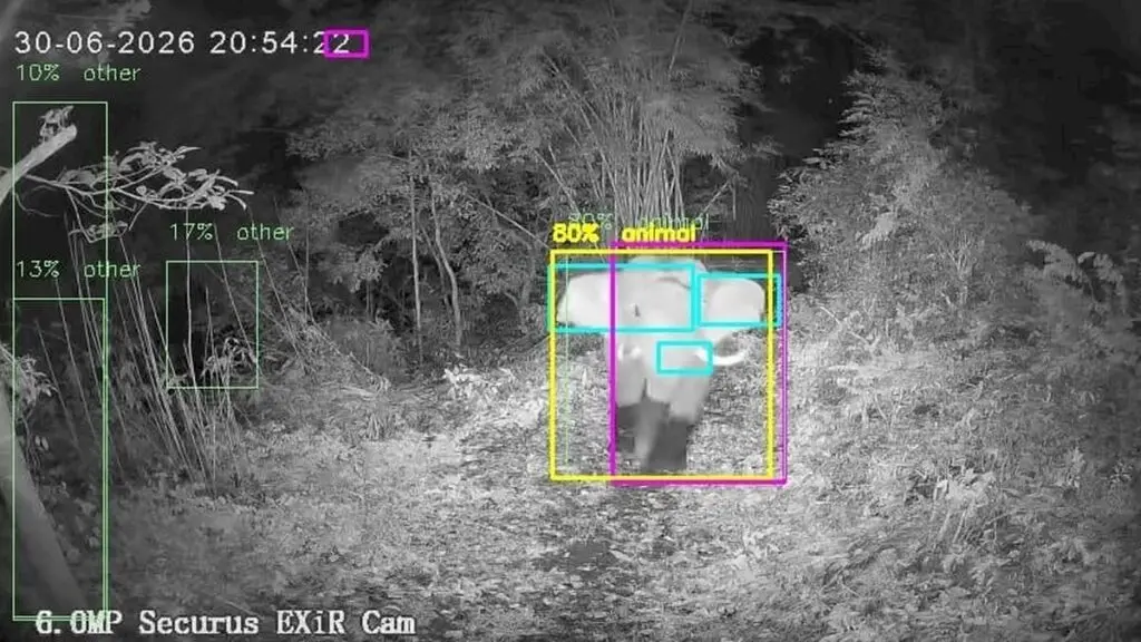 AI sentries achieve near-100% success in Kerala wildlife conflict zones