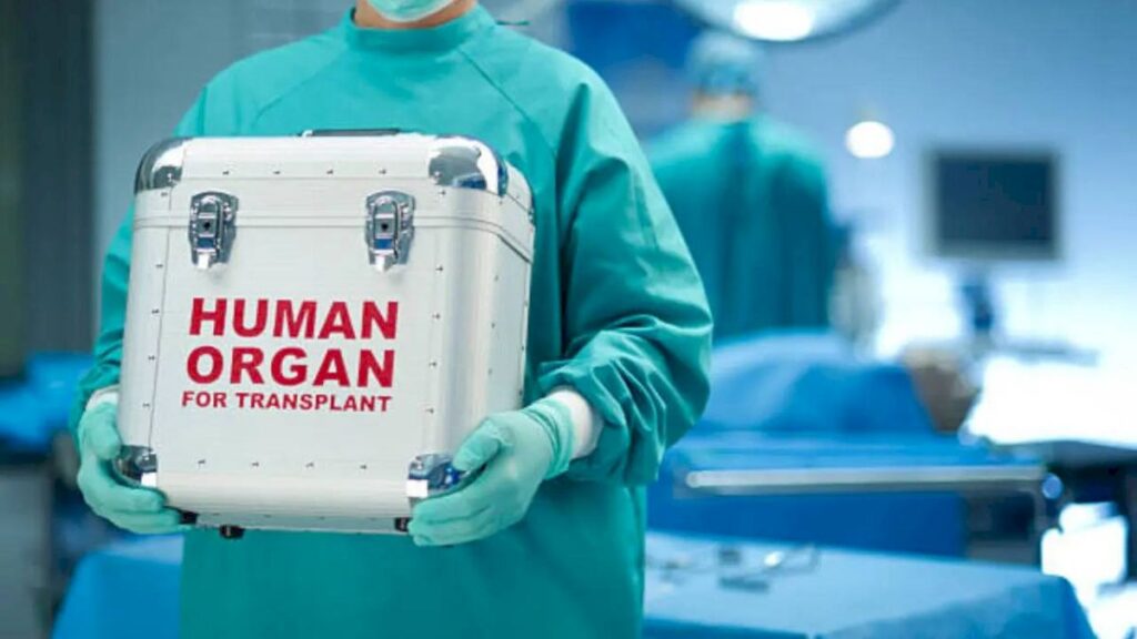 India performs record 20,138 organ transplants in 2025, donor gap remains