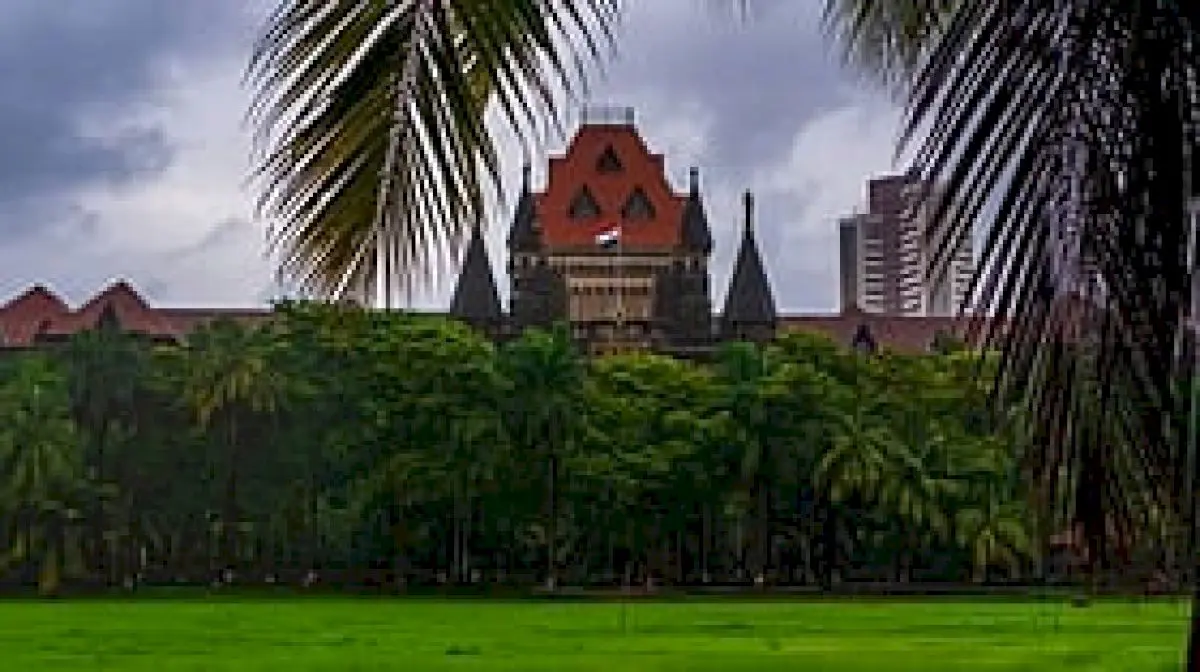 Bombay HC raps FDA: 'Trying to kill mosquito with sword'