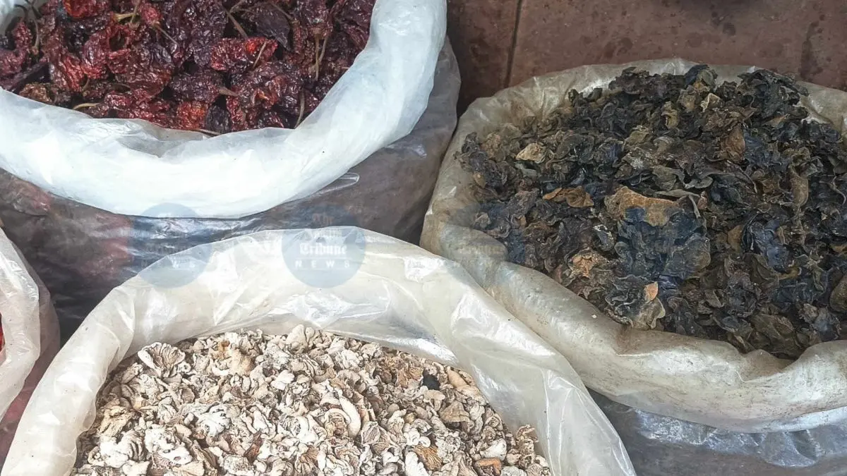 Manipur starts GI tag process for six indigenous crops