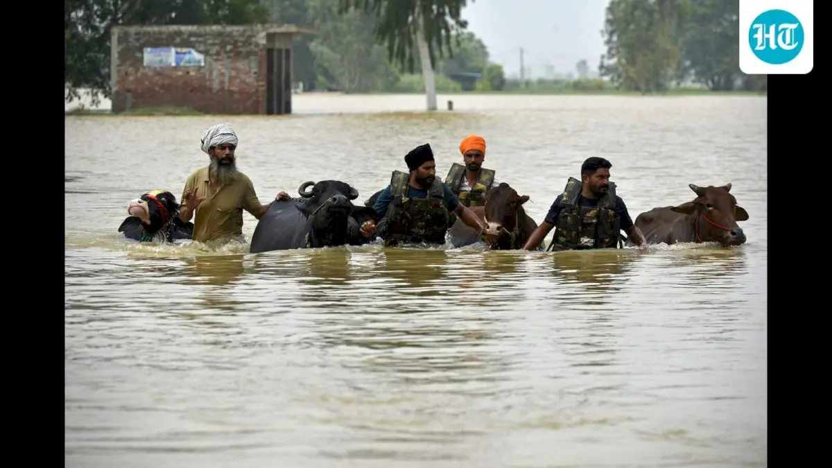 Punjab lacks climate budget despite Rs 13,000 crore flood losses
