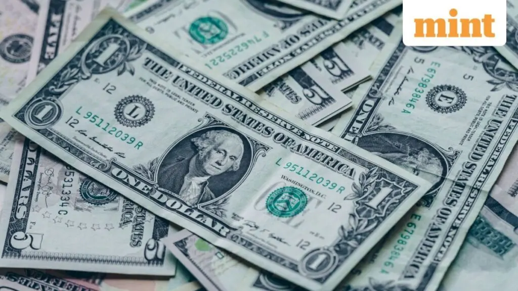 RBI holds rates, activity slows, dollar inflows surge