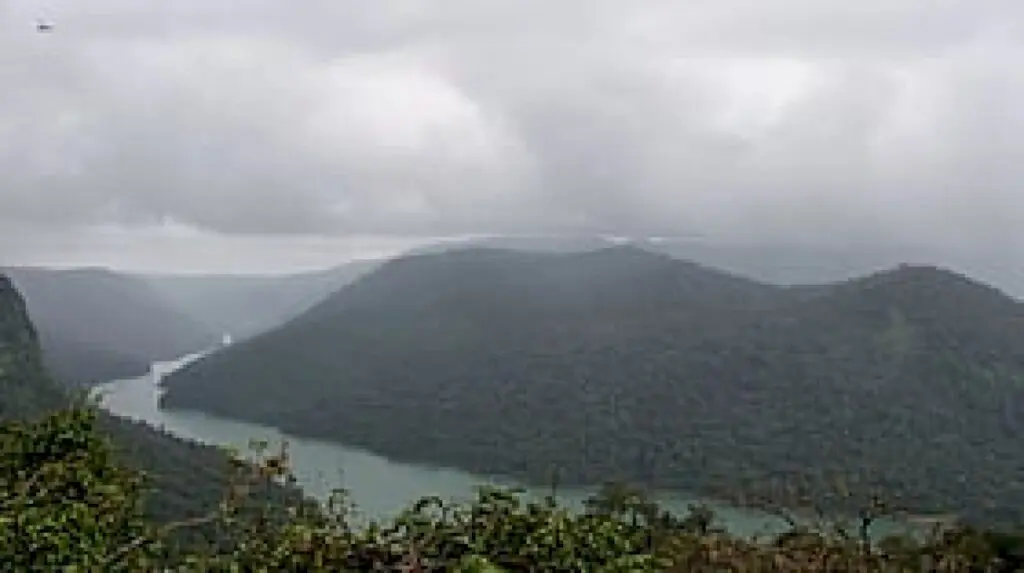 KPCL reduces tree felling in Sharavathi sanctuary to 6,300