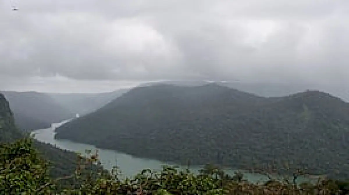 KPCL reduces tree felling in Sharavathi sanctuary to 6,300