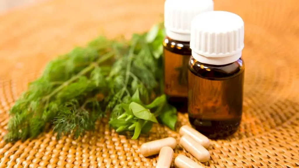 Maharashtra FDA cancels InduCare Pharma license over contaminated drugs