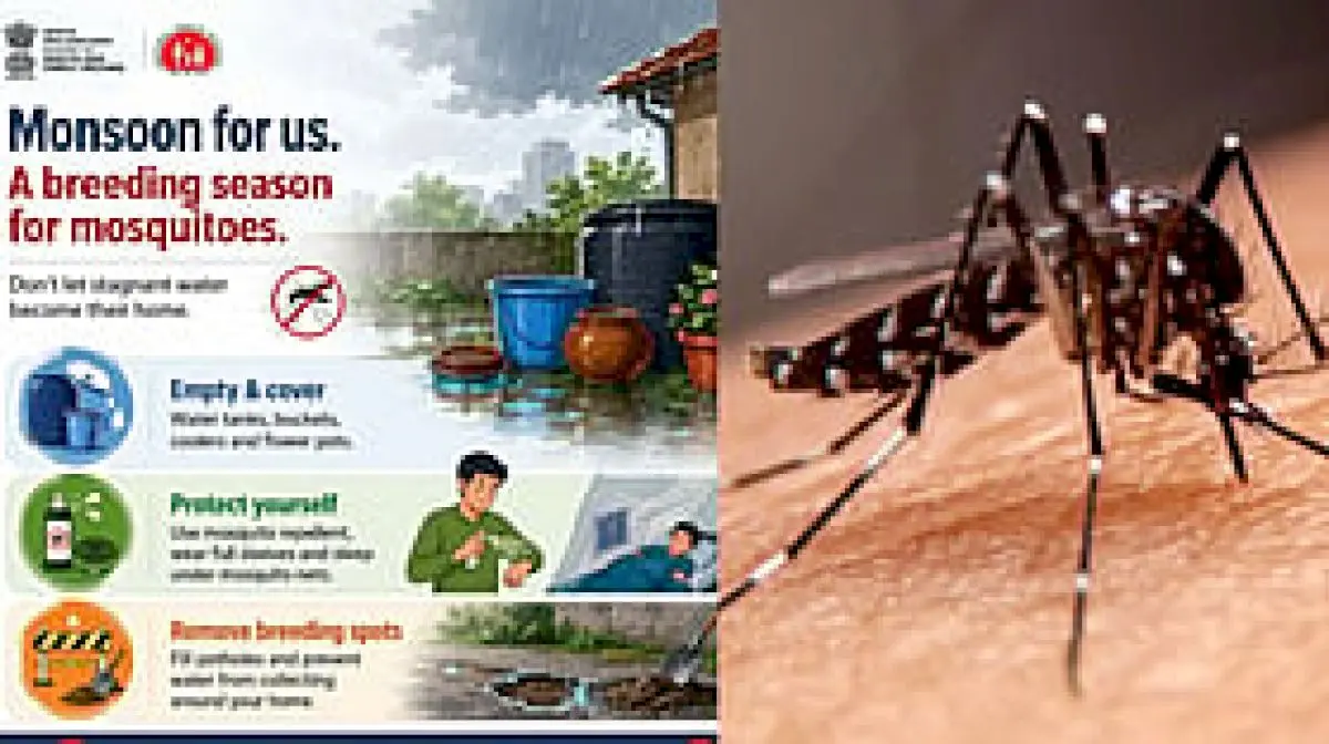 MoHFW issues monsoon tips to prevent mosquito-borne diseases