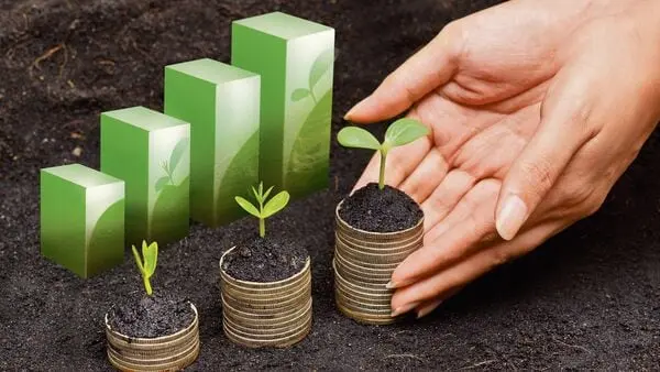 Siguler Guff plans $350-400 mn continuation fund for four India bets