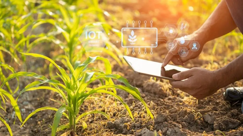 Kerala sets up 11-member panel for AgriStack data governance