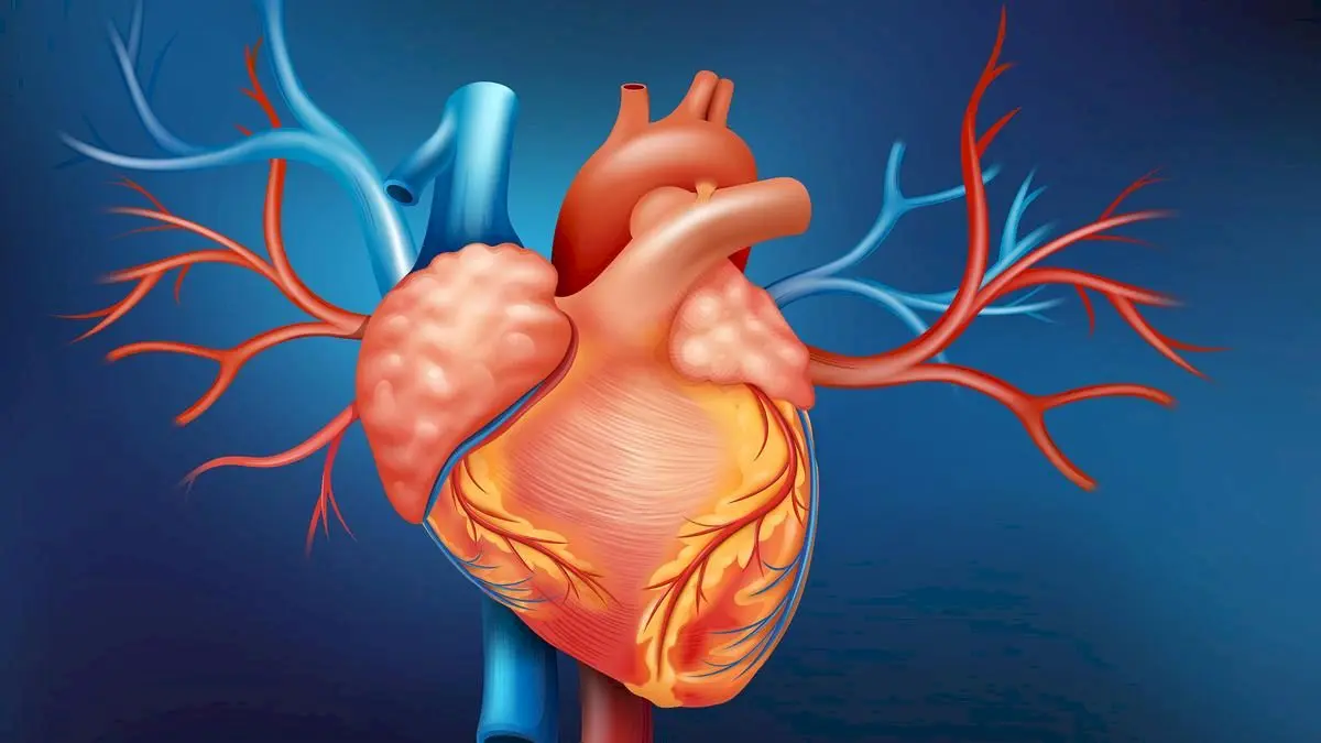 Valve-sparing aortic root surgery yields 86% 10-year survival: study