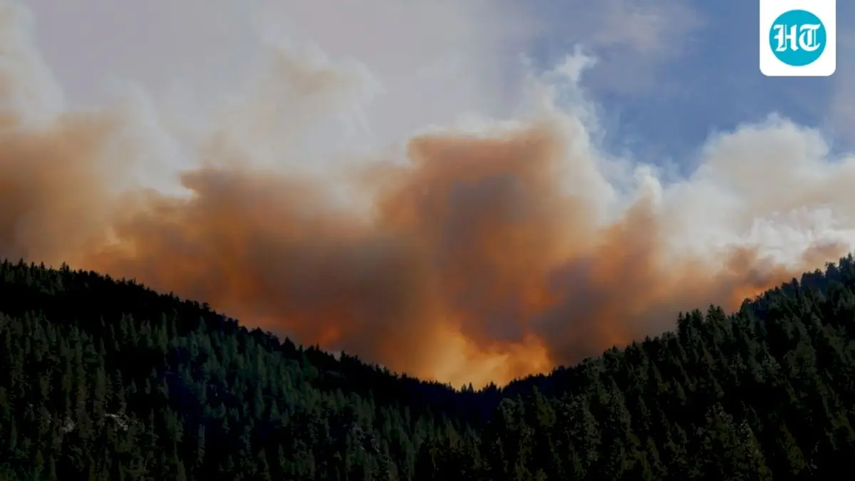 Mount Lemmon wildfire breaks out near Finger Rock, Arizona