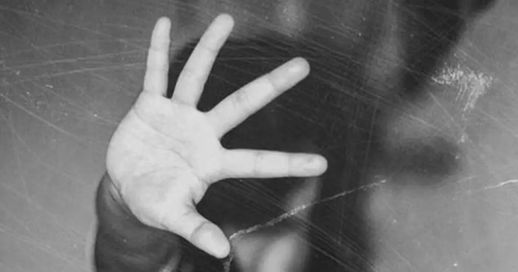 Nagpur police seize weapons, contraceptives from teen assault accused