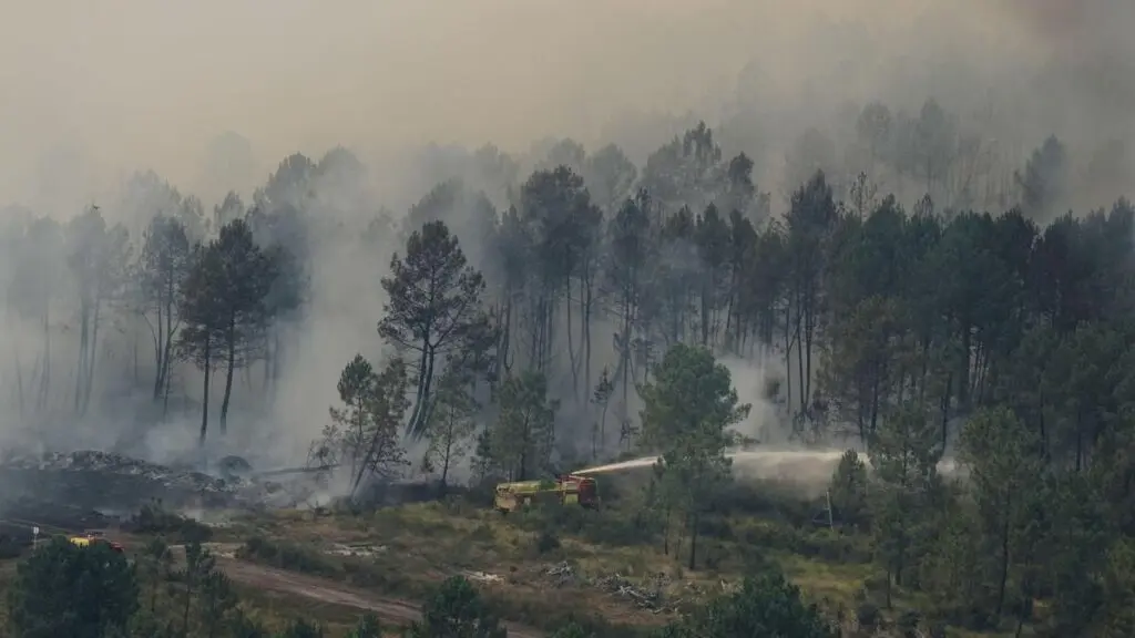 3 firefighters die; France battles wildfire four times size of Paris