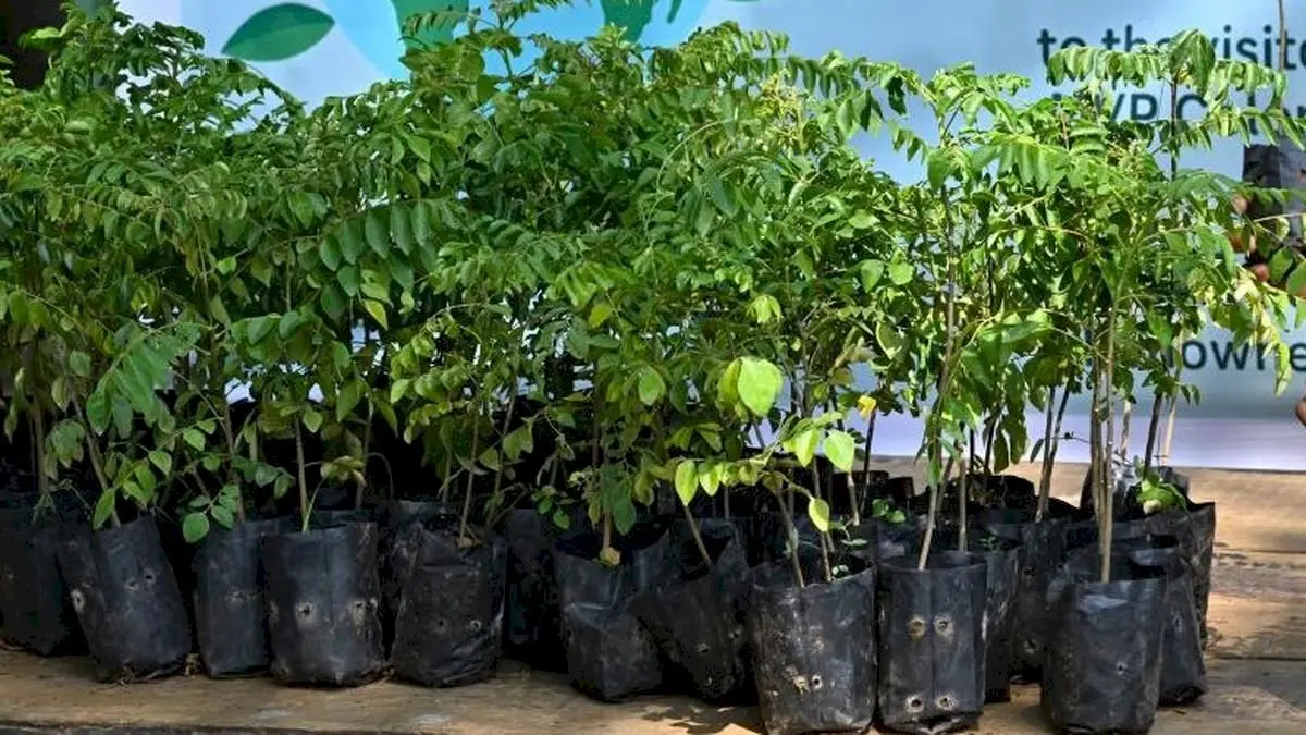 KAU launches five-crop home garden model 'Panchakam'