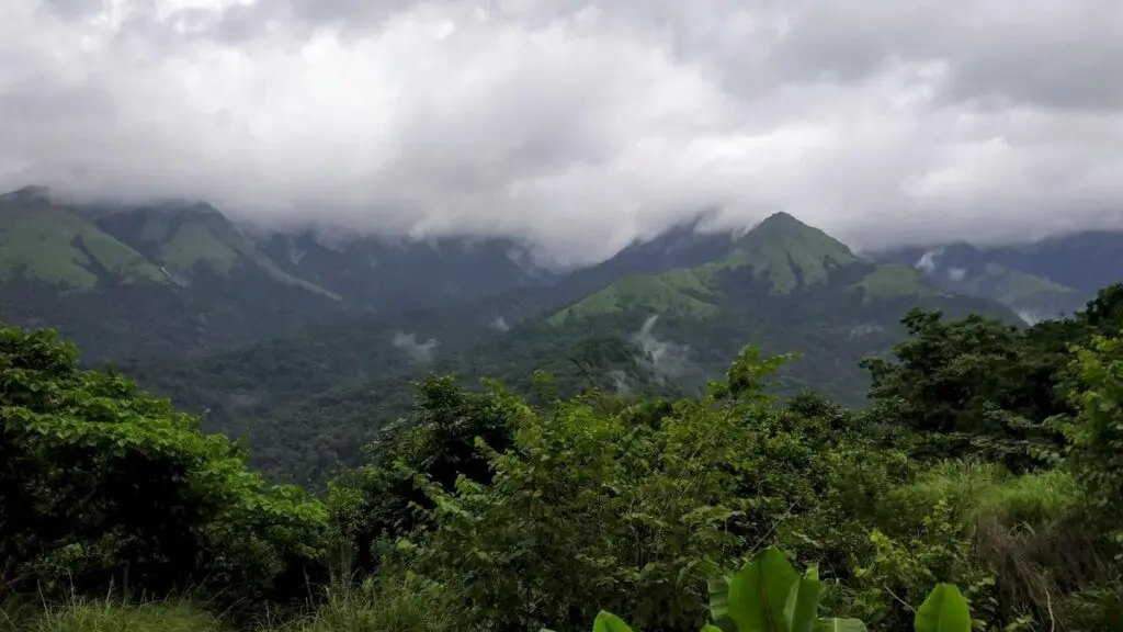 Centre mulls phased ESA rollout for Western Ghats amid state resistance