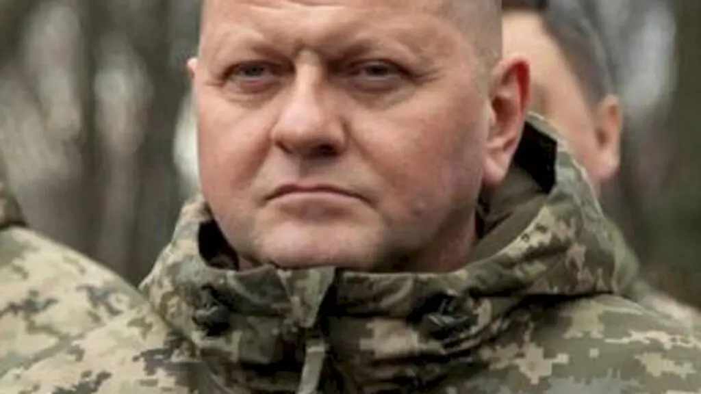 Ukraine will never join NATO, says former top commander