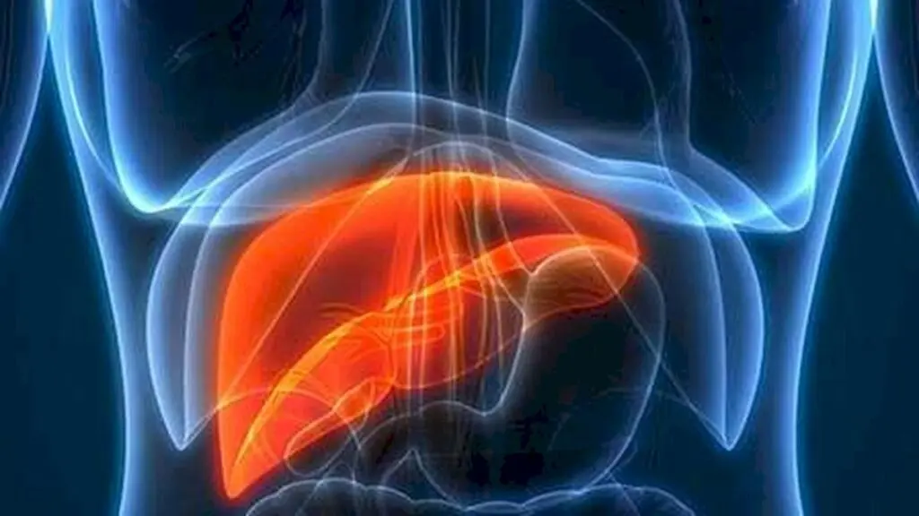 ALT levels alone cannot diagnose liver disease, doctors say