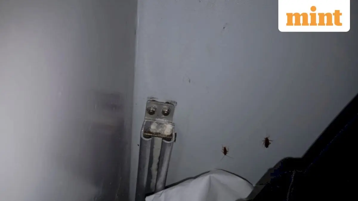 Rajdhani passenger finds cockroach in ear, demands railway action
