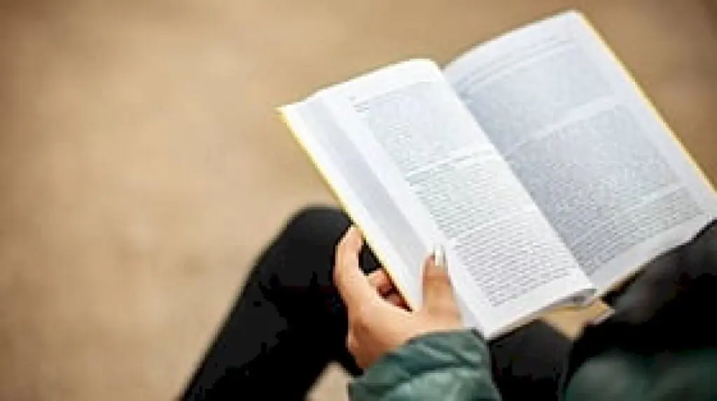 Two books show how curiosity reveals hidden stories