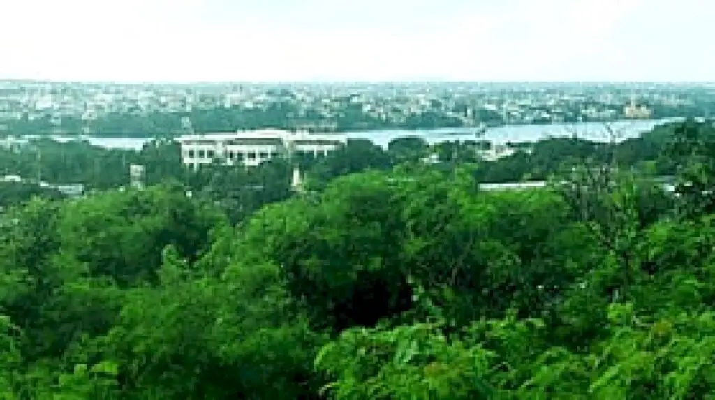 Bhopal retains green cover, but tree felling threatens birdlife
