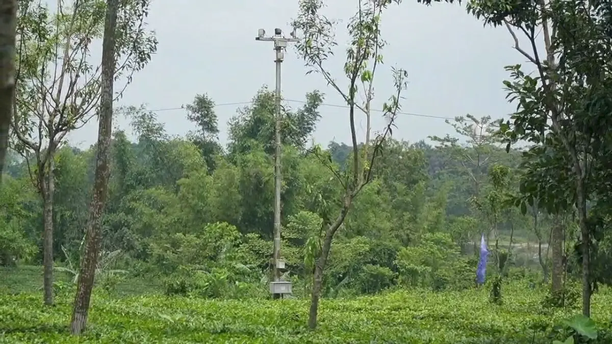 India-Bangladesh border stretch on Mahananda River to get fencing