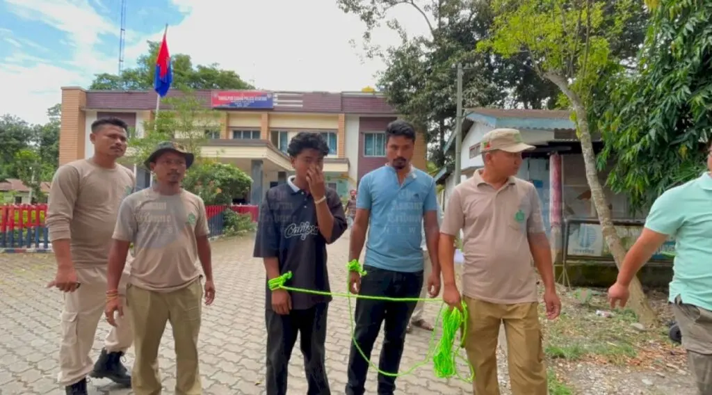 Assam STF seizes 4 kg elephant ivory, two held in Tamulpur