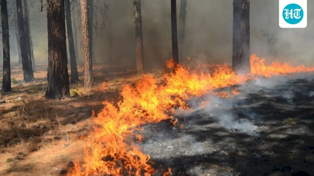 Tasha Fire forces evacuations in Santa Clarita, California