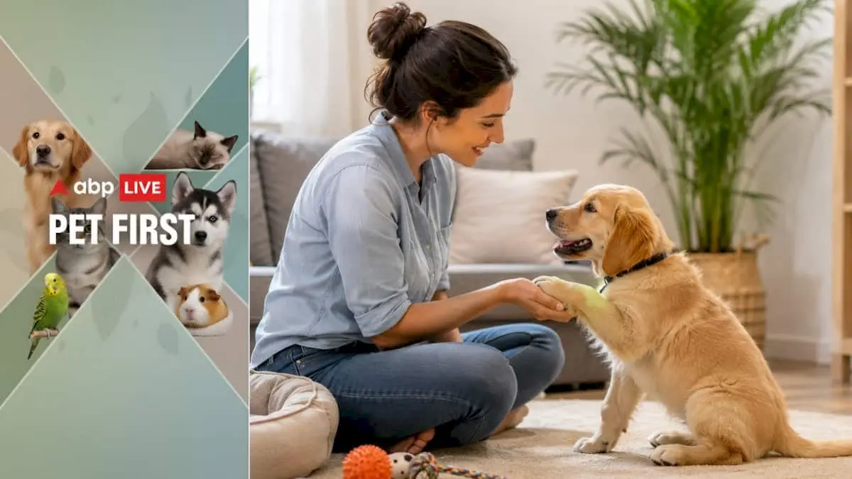 6 Essential Things to Know Before Adopting a Pet