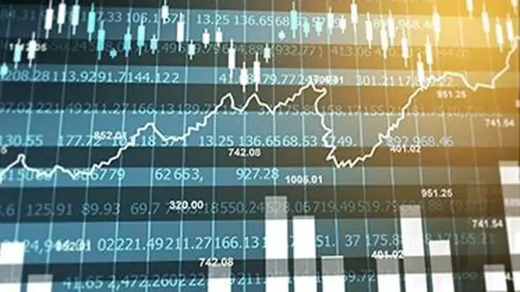 Markets efficient but crowd madness possible: Morgan Stanley