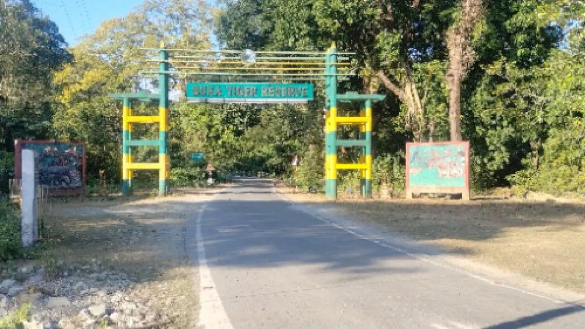 Centre announces plan to bring tigers back to Buxa reserve