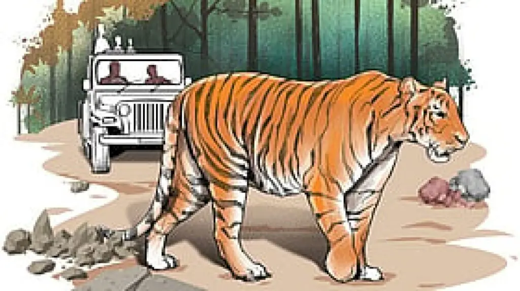 Man killed in suspected tiger attack in Nilgiris, locals protest