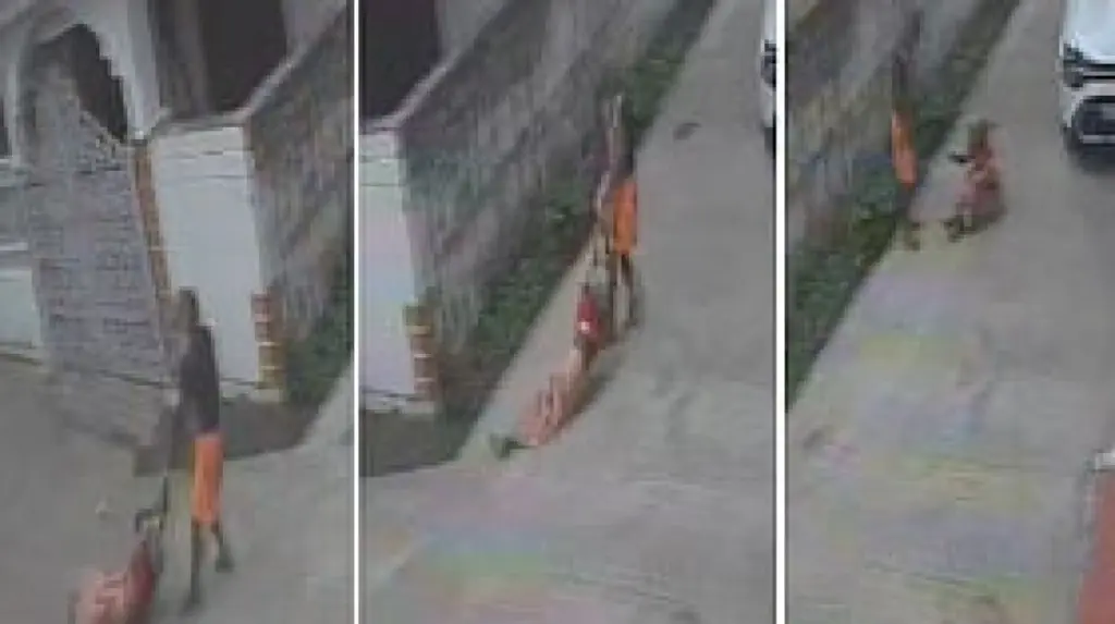 Son drags 75-year-old mother by hair in Jabalpur