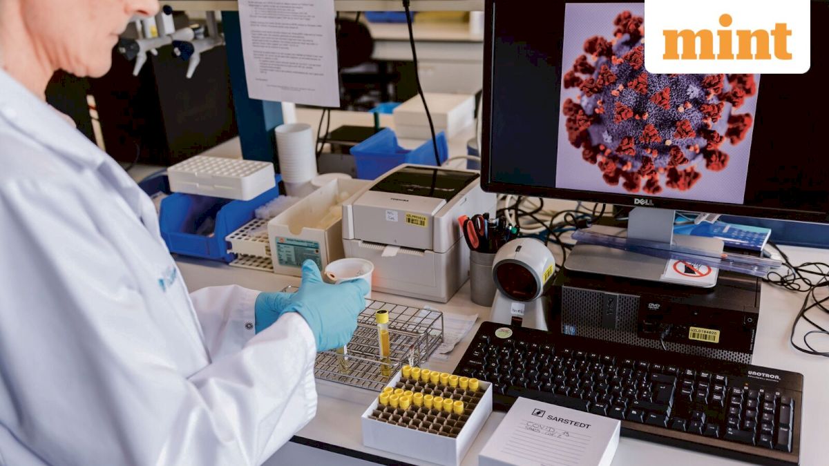 deadly-fungus-candida-auris-cases-detected-in-27-us-states-—-who-is-at-risk,-symptoms,-treatment