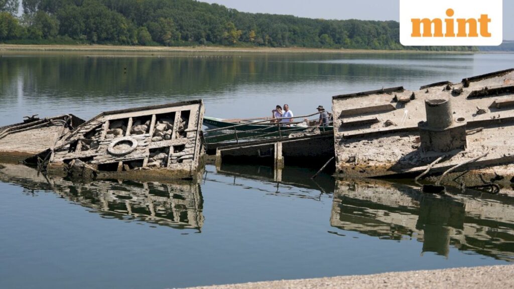 Danube Drought Exposes Nazi Wrecks and Ice Age Fossils