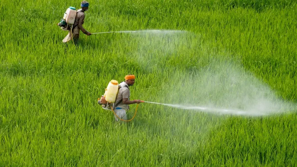 India mulls restricting Carbosulfan insecticide after Paraquat ban proposal