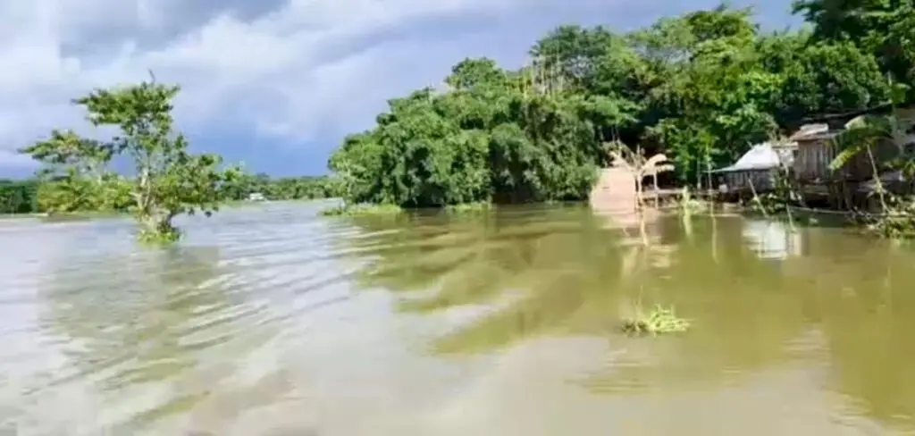 Golaghat flood worsens as rivers surge, dam releases water