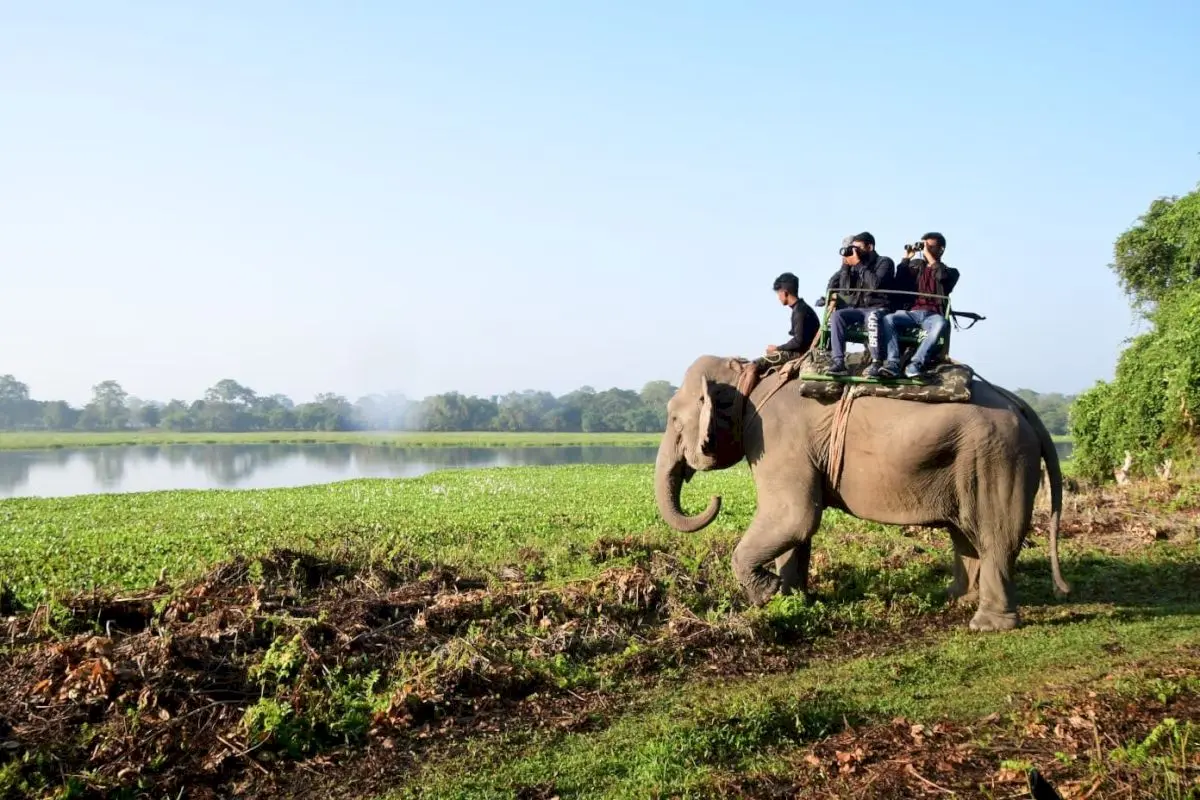 Assam considers Kaziranga safari fee hike, online booking