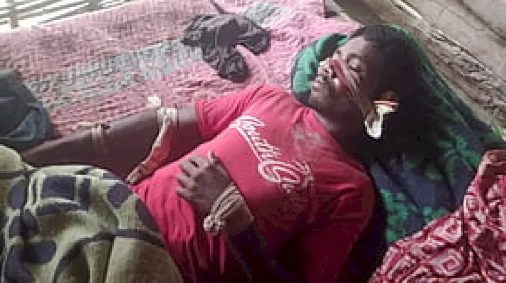 Tiger attacks man in Kanha core area, condition stable