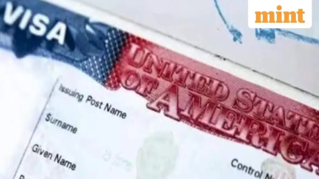 US Senator demands tighter H-1B rules, says firms favour foreign workers